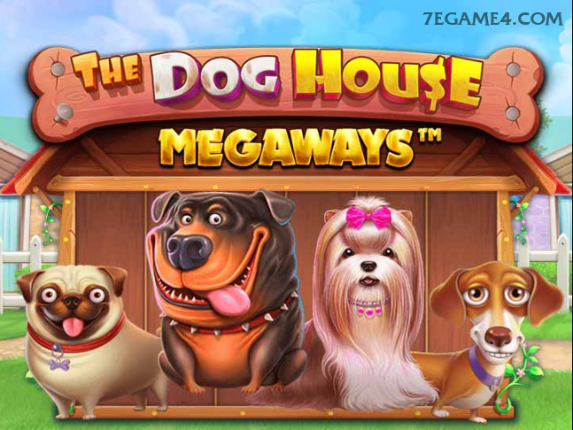 Live Casino Android